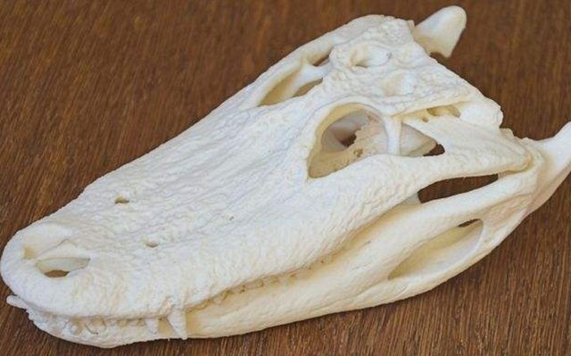 3D打印生物骨骼