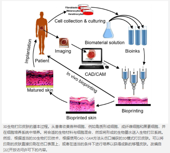 3D打印和生物打印