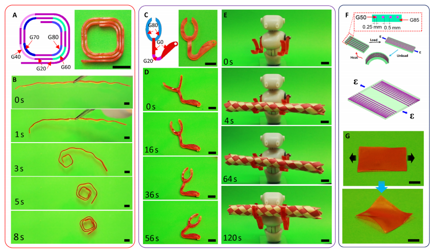 3D打印渐变材料