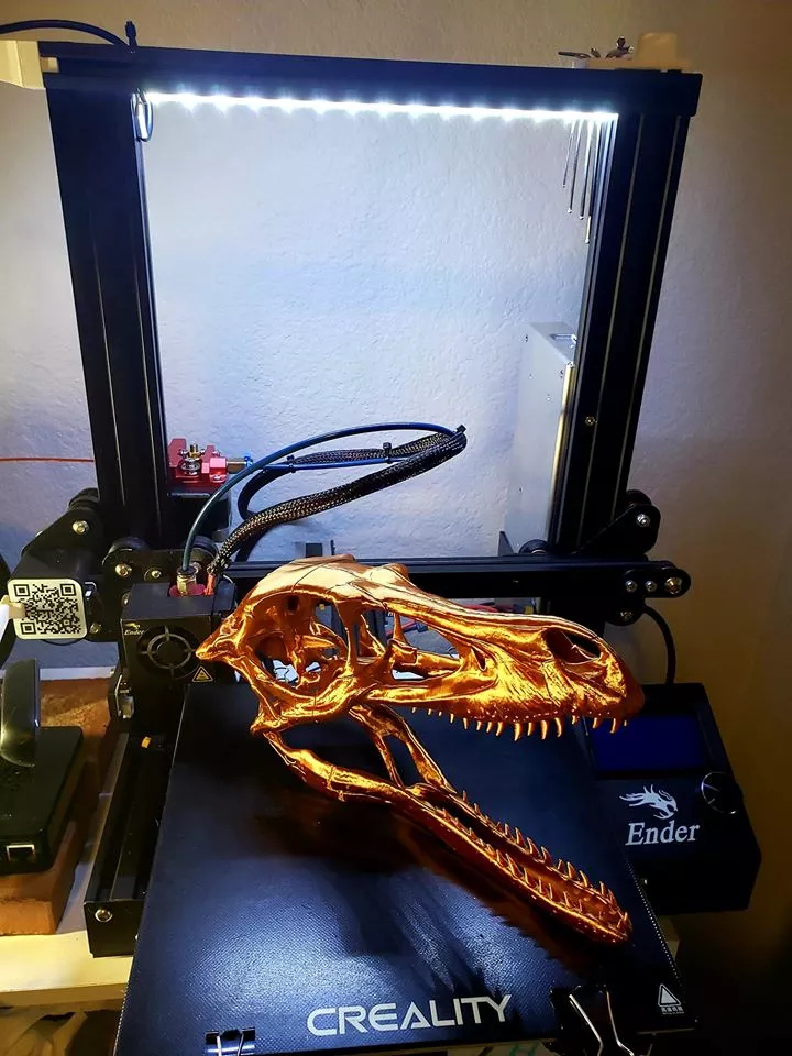 3D打印恐龙头骨