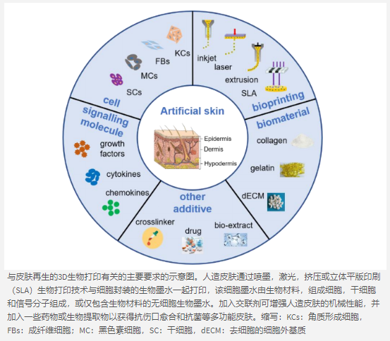 3D打印和生物打印