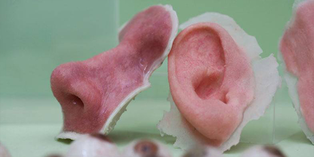 3D打印耳鼻